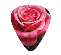 Guitar plectrums 12-piece set Comfortable in the hand with smooth edges Three thicknesses to match Pink Rose Flower with Leaves Prints