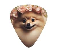 Guitar plectrums 12-piece set Comfortable in the hand with smooth edges Three thicknesses to match Pomeranian and flowers Picture