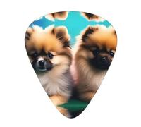 Guitar plectrums 12-piece set Comfortable in the hand with smooth edges Three thicknesses to match Pomeranians Puppies and Point Picture