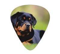 Guitar plectrums 12-piece set Comfortable in the hand with smooth edges Three thicknesses to match rottweiler wallpaper Picture