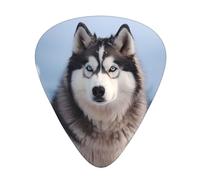 Guitar plectrums 12-piece set Comfortable in the hand with smooth edges Three thicknesses to match Siberian Husky Picture