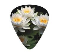 Guitar plectrums 12-piece set Comfortable in the hand with smooth edges Three thicknesses to match White Lotus Flowers Prints