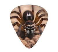 Guitar plectrums 12-piece set Comfortable in the hand with smooth edges Three thicknesses to match Wildlife Spider Prints