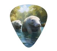 Guitar plectrums 12-piece set Comfortable in the hand with smooth edges Three thicknesses to match West Indian Manatees Picture