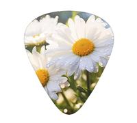 Guitar plectrums 12-piece set Comfortable in the hand with smooth edges Three thicknesses to match White Daisy Picture