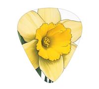 Guitar plectrums 12 pieces set Comfortable in the hand with smooth edges Three thicknesses to match Daffodil Flower Picture