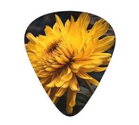 Guitar plectrums 12 pieces set Comfortable in the hand with smooth edges Three thicknesses to match blooming yellow flower Printing