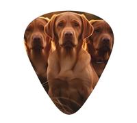 Guitar plectrums 12 pieces set Comfortable in the hand with smooth edges Three thicknesses to match Hd Labrador Retrievers Pattern