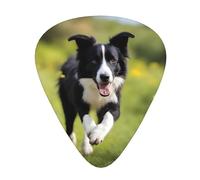 Guitar plectrums 12 pieces set Comfortable in the hand with smooth edges Three thicknesses to match Border Collie Pattern