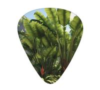 Guitar plectrums 12 pieces set Comfortable in the hand with smooth edges Three thicknesses to match Tropical Plants Picture