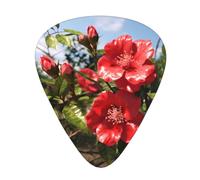 Guitar plectrums 12 pieces set Comfortable in the hand with smooth edges Three thicknesses to match Wild Flower Rose Picture