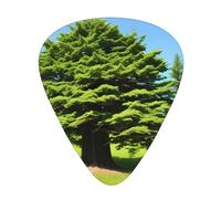 Guitar plectrums 12 pieces set Comfortable in the hand with smooth edges Three thicknesses to match Nature Cedar Picture