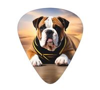 Guitar plectrums 12 pieces set Comfortable in the hand with smooth edges Three thicknesses to match English-Bulldog Picture
