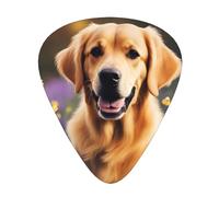 Guitar plectrums 12 pieces set Comfortable in the hand with smooth edges Three thicknesses to match Lovely Golden Dog Picture