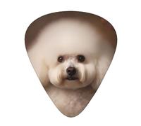 Guitar plectrums 12 pieces set Comfortable in the hand with smooth edges Three thicknesses to match bichon frise dog Printing