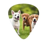 Guitar plectrums 12 pieces set Comfortable in the hand with smooth edges Three thicknesses to match Dogs playing on the lawn Picture