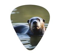 Guitar plectrums 12 pieces set Comfortable in the hand with smooth edges Three thicknesses to match Otters Picture
