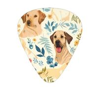 Guitar plectrums 12 pieces set Comfortable in the hand with smooth edges Three thicknesses to match labrador retriever dogs Printing