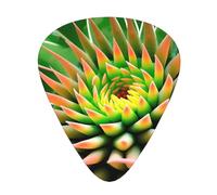 Guitar plectrums 12 pieces set Comfortable in the hand with smooth edges Three thicknesses to match Tropical Blooming Cactus Pattern