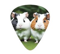 Guitar plectrums 12 pieces set Comfortable in the hand with smooth edges Three thicknesses to match Multiple Guinea pigs Picture