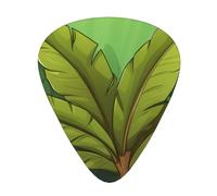 Guitar plectrums 12 pieces set Comfortable in the hand with smooth edges Three thicknesses to match Tropical Banana Leaf Picture