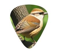 Guitar plectrums 12 pieces set Comfortable in the hand with smooth edges Three thicknesses to match Oak bird Picture