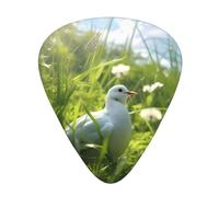 Guitar plectrums 12 pieces set Comfortable in the hand with smooth edges Three thicknesses to match Grass and dove Pattern
