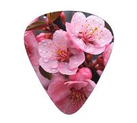 Guitar plectrums 12 pieces set Comfortable in the hand with smooth edges Three thicknesses to match Japanese Cherry Flowers Pattern