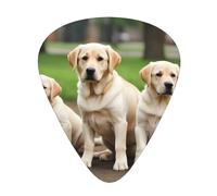 Guitar plectrums 12 pieces set Comfortable in the hand with smooth edges Three thicknesses to match labrador dogs Picture