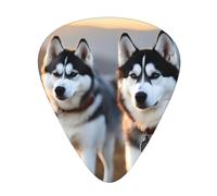 Guitar plectrums 12 pieces set Comfortable in the hand with smooth edges Three thicknesses to match Husky Dog Pattern