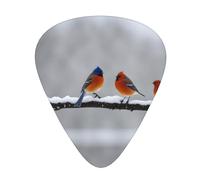Guitar plectrums 12 pieces set Comfortable in the hand with smooth edges Three thicknesses to match Birds in the park on a snowy day Prints