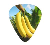 Guitar plectrums 12 pieces set Comfortable in the hand with smooth edges Three thicknesses to match Unique Banana Fruit Picture