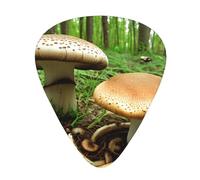 Guitar plectrums 12 pieces set Comfortable in the hand with smooth edges Three thicknesses to match wild mushroom Prints