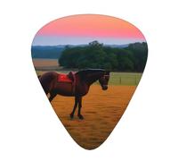 Guitar plectrums 12 pieces set Comfortable in the hand with smooth edges Three thicknesses to match Horse at dusk Picture