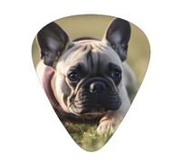 Guitar plectrums 12 pieces set Comfortable in the hand with smooth edges Three thicknesses to match French Bulldog Dog Cute Picture