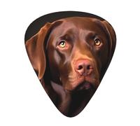 Guitar plectrums 12 pieces set Comfortable in the hand with smooth edges Three thicknesses to match brown labrador retriever Printing