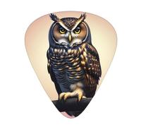 Guitar plectrums 12 pieces set Comfortable in the hand with smooth edges Three thicknesses to match Evening Owl Picture