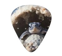 Guitar plectrums 12 pieces set Comfortable in the hand with smooth edges Three thicknesses to match Turtle hatching in Florida Picture