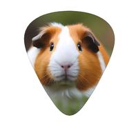 Guitar plectrums 12 pieces set Comfortable in the hand with smooth edges Three thicknesses to match Guinea Pigs Picture