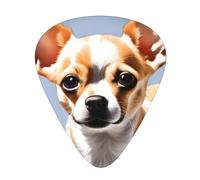 Guitar plectrums 12 pieces set Comfortable in the hand with smooth edges Three thicknesses to match Cute Chihuahua Picture