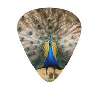Guitar plectrums 12 pieces set Comfortable in the hand with smooth edges Three thicknesses to match Peacock Feather Picture