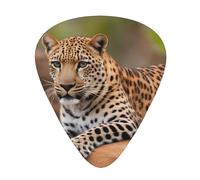 Guitar plectrums 12 pieces set Comfortable in the hand with smooth edges Three thicknesses to match African Leopard on Rock Prints