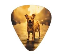 Guitar plectrums 12 pieces set Comfortable in the hand with smooth edges Three thicknesses to match Golden Dog Picture