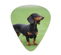 Guitar plectrums 12 pieces set Comfortable in the hand with smooth edges Three thicknesses to match dachshund Picture