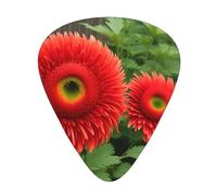 Guitar plectrums 12 pieces set Comfortable in the hand with smooth edges Three thicknesses to match Vintage Red Heads Crane Chrysanthemum Prints