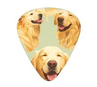 Guitar plectrums 12 pieces set Comfortable in the hand with smooth edges Three thicknesses to match golden retriever Printing