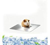 Guittly 2pcs Small Pet Cooling Mat, Bite-Resistant Aluminum Cooling Pad for Rabbits Hamsters Guinea Pigs, Summer Ice Bed Small Animal Cool Mat, Safe Lightweight Design with Smooth Edges (12x8cm)