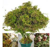 Gukasxi 150g Dried Forest Moss for Potted Plants Green Artificial Moss Decoration Natural Sphagnum Moss for Terrarium Decor, Orchid Soil Medium (4 Quarts)