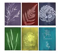 Gukasxi Cyanotype Paper 24 Sheets High Sensitivity Natural Printing (6 Colors) 8.6 x 11.8 inches Solar Drawing Paper for Beginner and Adults DIY Crafts