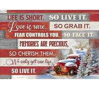 Guktmcet Metal Vintage Tin Sign Christmas Winter red Truck we only get one Life so Live it Tin Sign Decoration Creative Fun Home Bathroom Patio Bar Bar Poster Sign 8x12 Inches